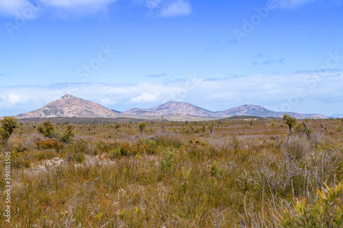 Landscape in the Cape Le Grand National Park east of Esperance  Western Australia