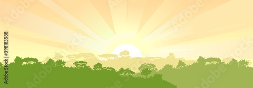 Deciduous forest. Silhouette. Mature, spreading trees. Thick thickets. Hills overgrown with plants. Sky with sunrise and morning rays. Vector
