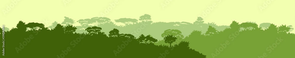 Deciduous forest. Silhouette. Mature, spreading trees. Thick thickets. Hills overgrown with plants. Sky.
