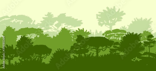 Deciduous forest. Silhouette. Mature  spreading trees. Thick thickets. Hills overgrown with plants. Sky. Vector