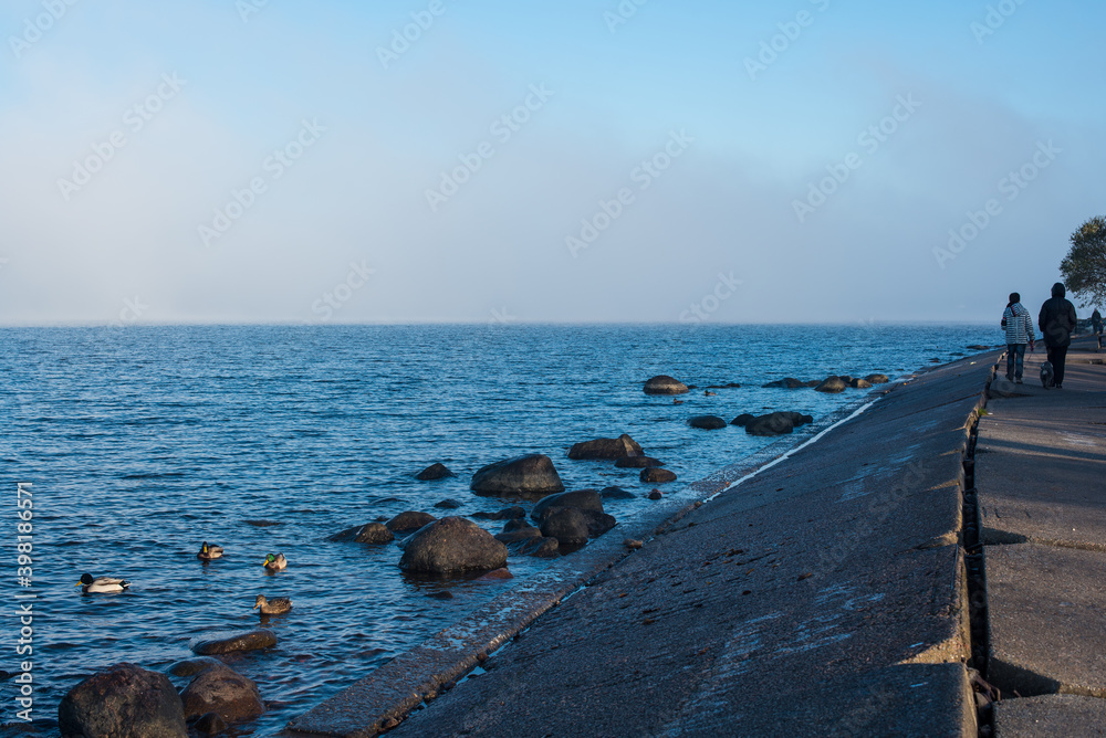 foggy morning beach of the Finnish gulf 