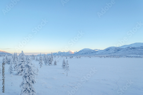 Snowy forest in the Republic of Sakha, Kolyma tract, the Russian North