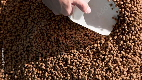 Animal feed production process. Fish food.