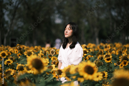 asian women on white dress in sunflower garden