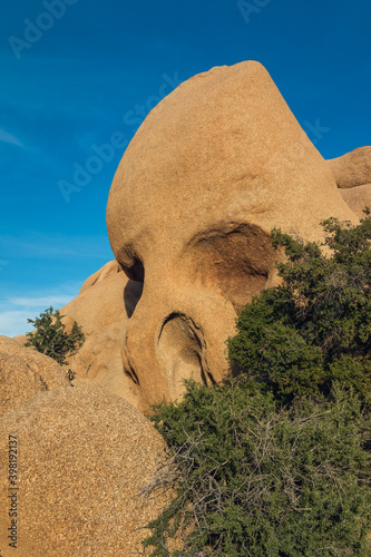 Skull Rock in Joshua Tree National Park, California photo