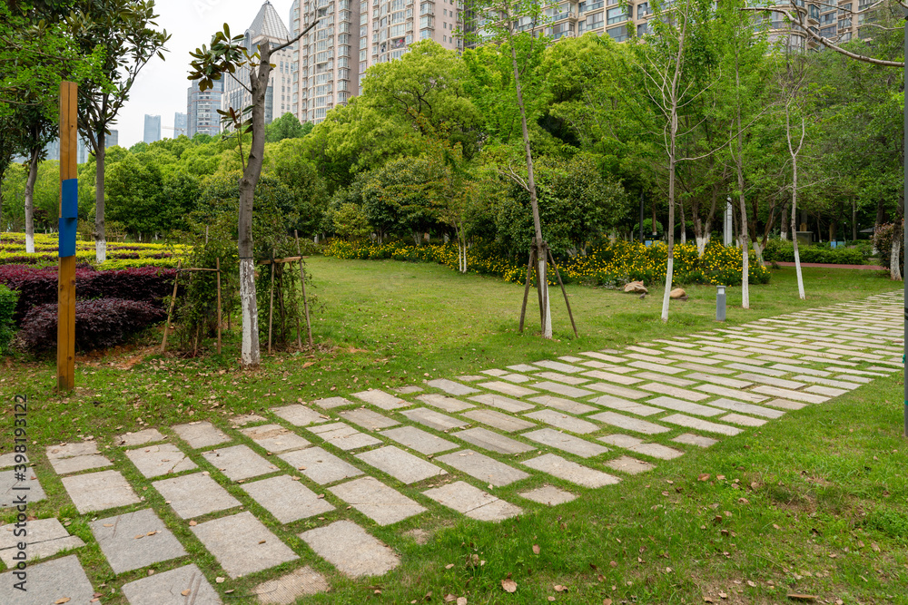 Fototapeta premium city park with modern building background in shanghai