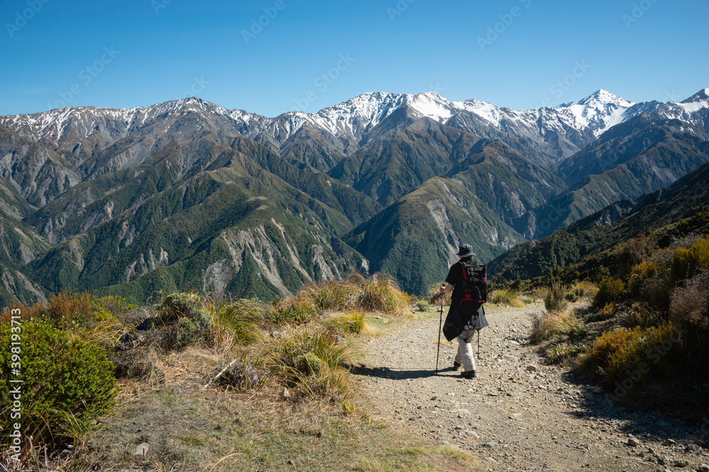 Hiking Mt Fyffe track with snow-capped mountain peaks in the background, Kaikoura, South Island, New Zealand