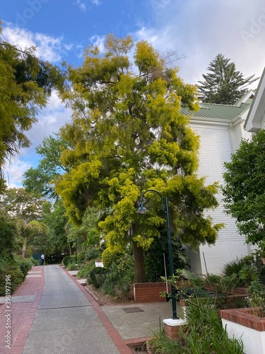 street in the city