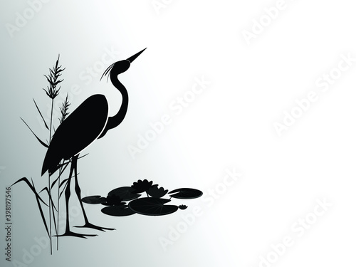 Heron in reeds stands against a group of water lilies. Silhouette vector illustration