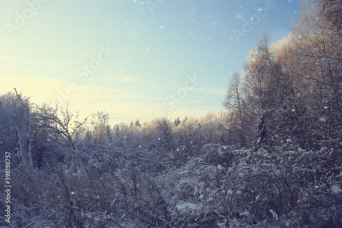 branches covered with hoarfrost background, abstract landscape snow winter nature frost