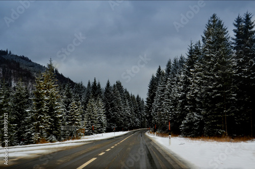 Forest road covered with snow after winter blizzard snowstorm, trees on both sides