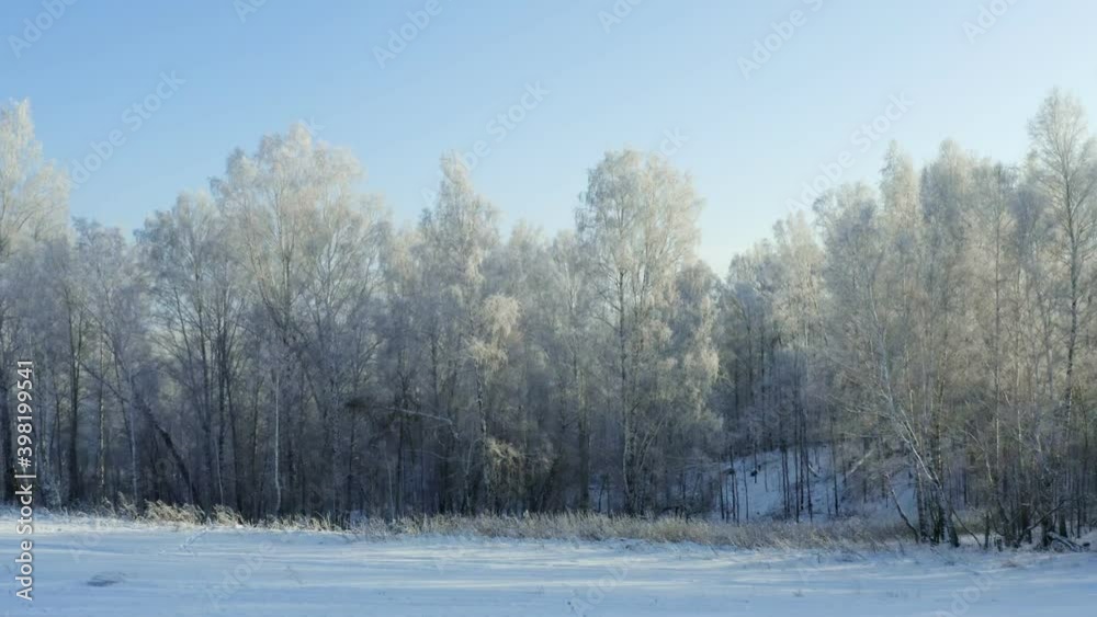 Winter landscape. The trees are covered with snow and frost. Flying over a snowy forest. Trees covered with hoarfrost. Winter landscape. The trees are covered with snow and frost. Flying over a snowy forest. Trees covered with hoarfrost.