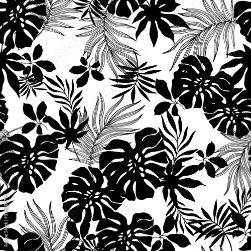 Hand drawn tropical summer background: palm, monstera leaves in silhouette, line art styles.