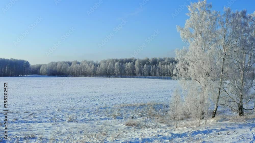 The drone flies past trees covered with sparkling frost. Against the backdrop of a snowy Siberian field. The drone flies past trees covered with sparkling frost. Against the backdrop of a snowy Siberian field.