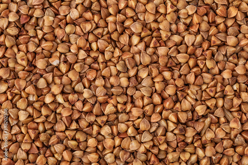  Close-up buckwheat background.Buckwheat. fresh buckwheat.