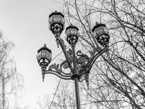 Pushkino, Russia, on december 7, 2020.  A picturesque lamp in the boulevard against the background of the trees  photo