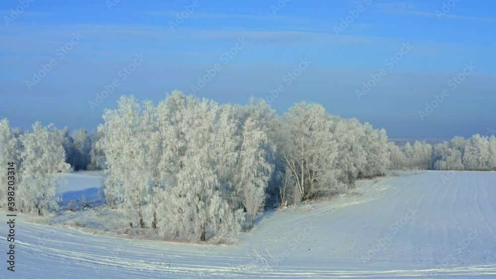 Trees covered with hoarfrost. Trees covered with hoarfrost.