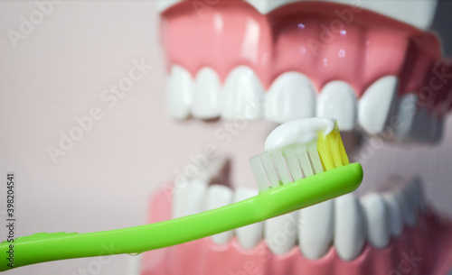 Green toothbrush with white toothpaste brushing teeth on teeth model.Dental care 