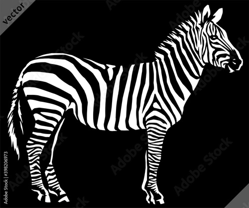 black and white linear paint draw zebra vector illustration art
