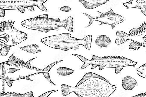 Seamless pattern of various fishes, hand drawn vector