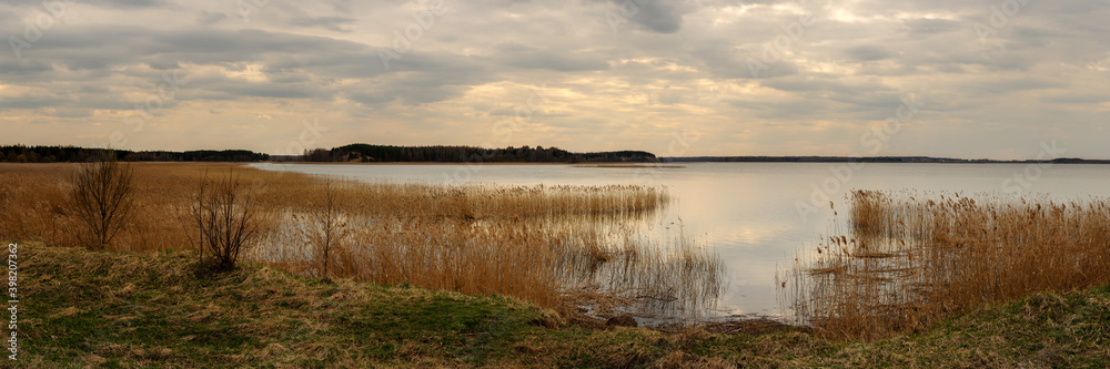 cloudy spring day. wide panoramic view from the grassy coast to a large calm lake with coastal reeds and the opposite shore under a dramatic sky