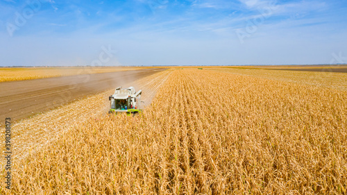 Foto Above view on combine, harvester machine, harvest ripe maize