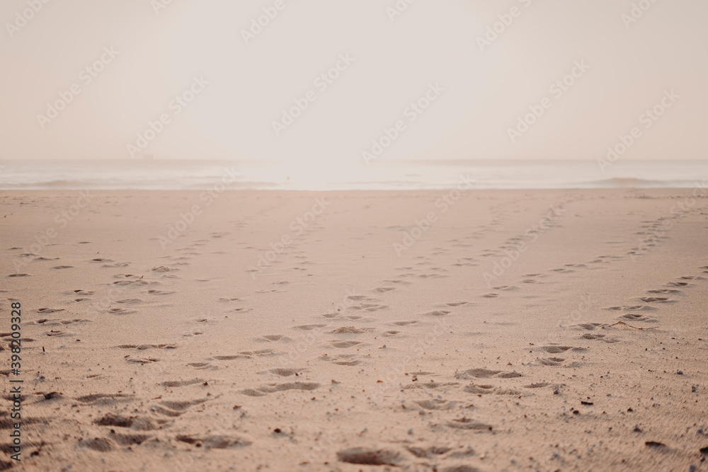 feet on the sand feet on the sand