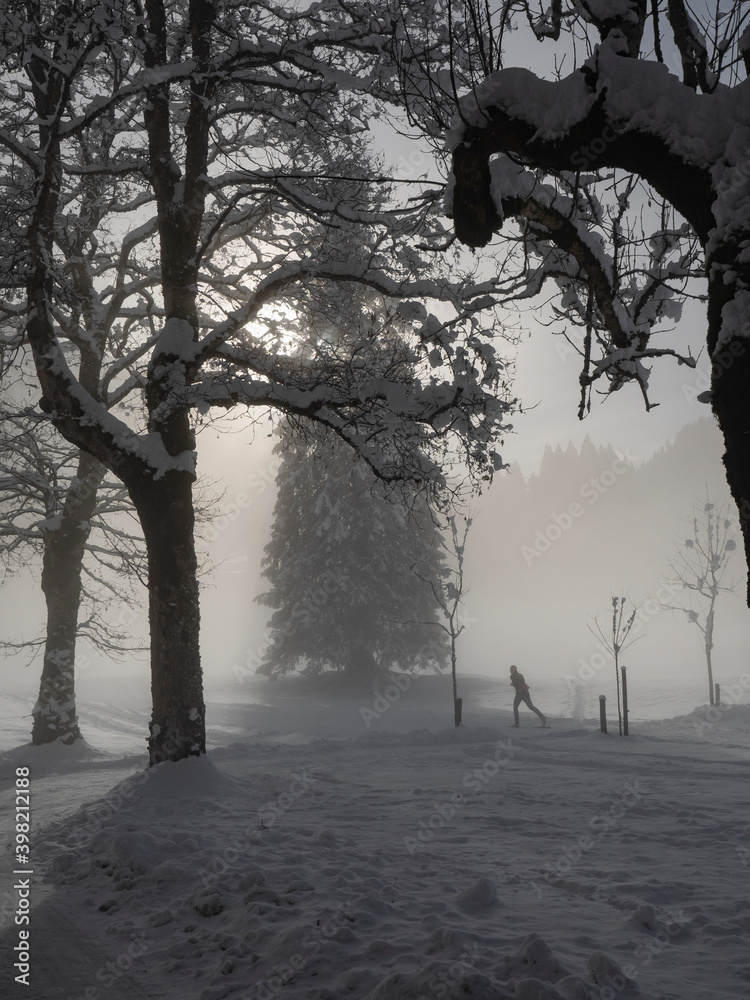 Φωτογραφία Cross-country skiers in a snowy winter landscape with fog