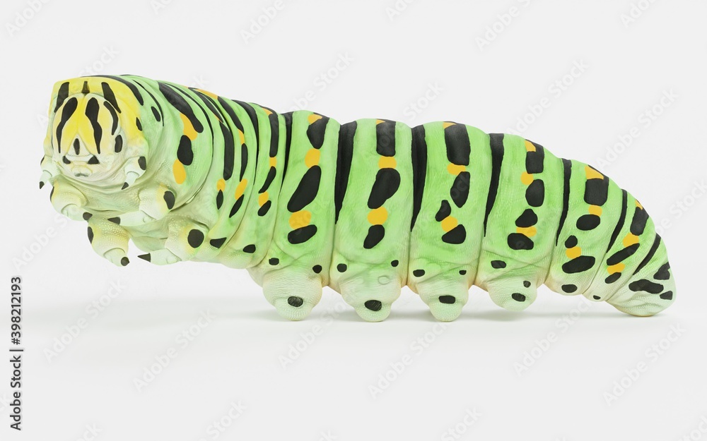 Naklejka premium Realistic 3D Render of Old World Caterpillar