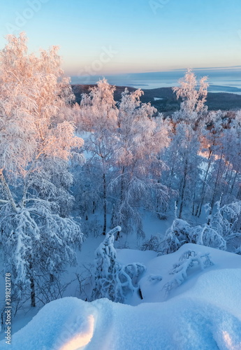 Snow-covered pines and birches on the mountain in winter against the background of the forest and the sky in the rays of the setting sun