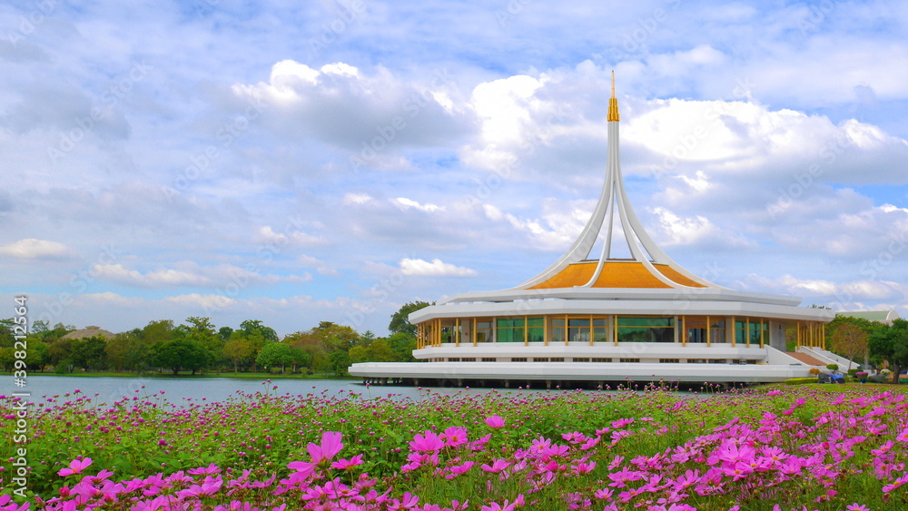 RAJAMANGALA HALL pink cosmos plant in KING RAMA 9 public park with beauty blue sky white cloud , copy space RAJAMANGALA HALL pink cosmos plant in KING RAMA 9 public park with beauty blue sky white cloud , copy space