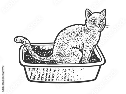 cat sit on cat litter box sketch engraving vector illustration. T-shirt apparel print design. Scratch board imitation. Black and white hand drawn image.