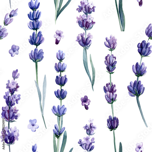 Floral seamless pattern with watercolor  lavender flowers  hand drawing