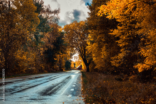 a moody autumn day in the world. whit great color and halloween feeling.