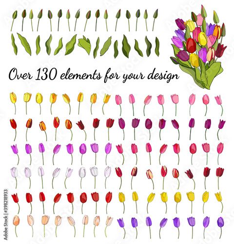 The floral vector set of tulips isolated on white background. For design of invitations, cards, gift boxes, textiles, fabric, wallpaper and more.