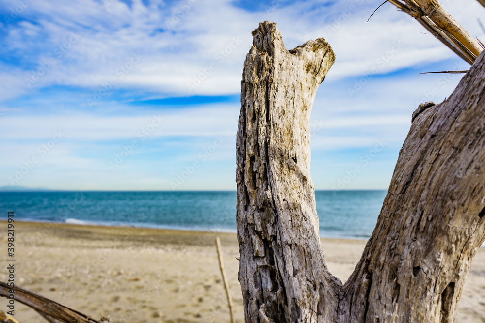 Sandy beach landscape