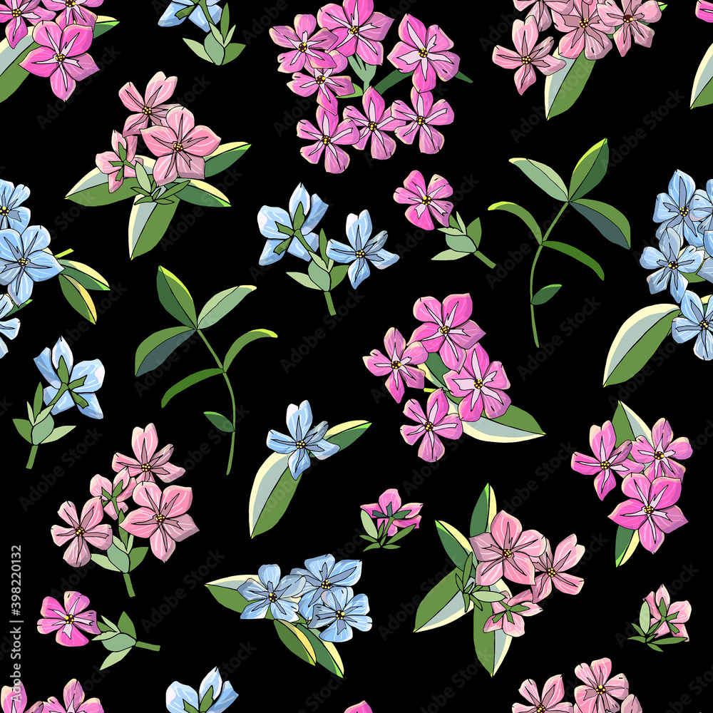 Seamless pattern with phlox flowers isolated on black.