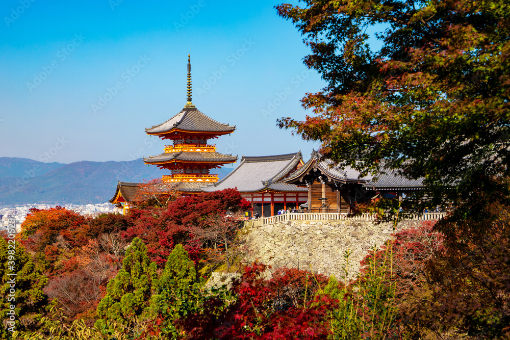 Obraz premium 秋の清水寺 三重塔と紅葉
