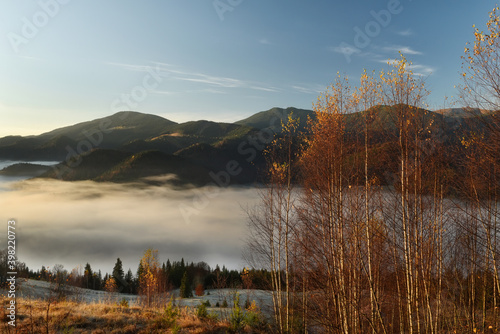 Early morning in the autumn mountains. Frost on the grass on the slope of the mountains and the last yellow leaves on the trees.