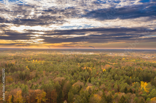 Zielony Las jesienią widziany z drona/