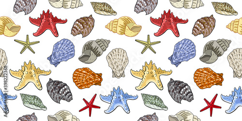 Seamless pattern with seashells isolate on white background.