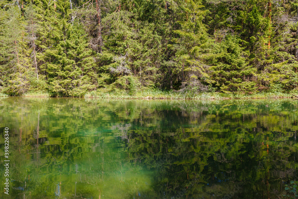 Amazing crystal clear and emerald water in the forest lake. Pine forest. Sunny summer day. Amazing crystal clear and emerald water in the forest lake. Pine forest. Sunny summer day.