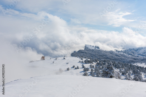 Panorama of winter landscape with snow-covered pine forest in the mountains of Crimea. Charming fairy-tale view of AI-Petri . The concept of winter holidays, travel, adventure and recreation.