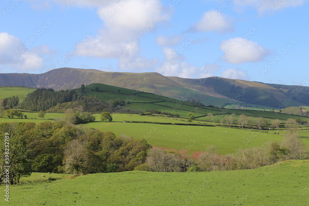 A rural scene looking towards Snowdonia near Dylife, mid Wales, UK. 