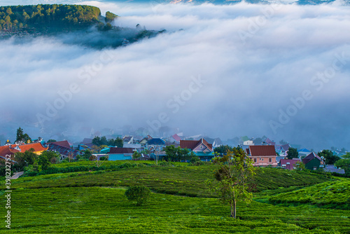 Many houses in in the mist in the morning. Early morning fog and mist burns off over large houses nestled in green rolling hills