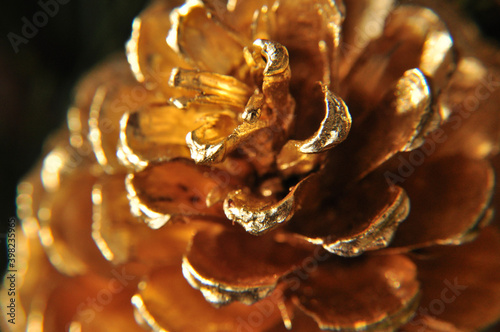 Christmas gilded pine cones in close-up with twigs in the background