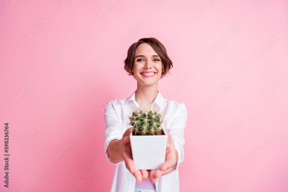 Portrait of delighted person give you little cactus flower plant isolated on pastel pink color background