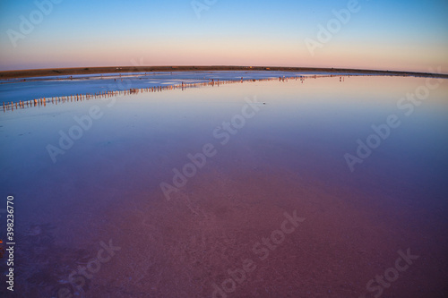 Pink salt lake top view © YouraPechkin