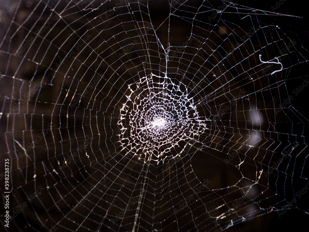 Spider Web Reflection in The Dark