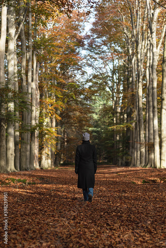 Woman hiking in deciduous autumn forest. Rear view. © ysbrandcosijn